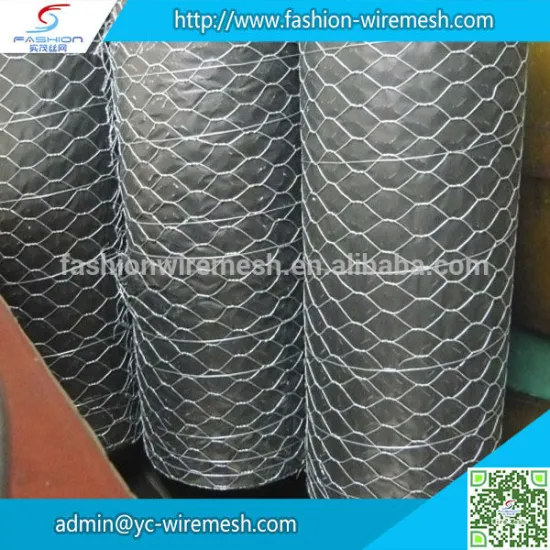 High Quality New Design chicken wire mesh for plastering