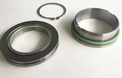Flygt Pump's mechanical seals