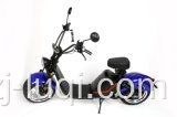 EEC / COC Citycoco دراجة نارية