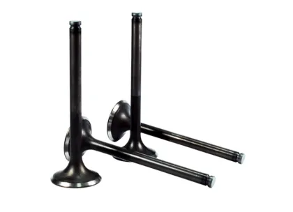 Automobile VOLVO Series In&Ex Engine Valve