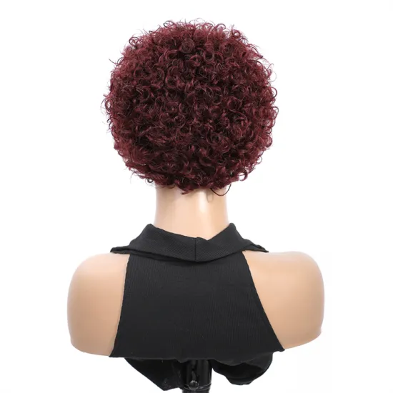 Pixie Cut Human Hair Wigs For Black Women Jerry Curl Short Lace Wig Pixie Cut Short Hair Wig