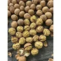 Nozes brancas premium com casca sabor natural