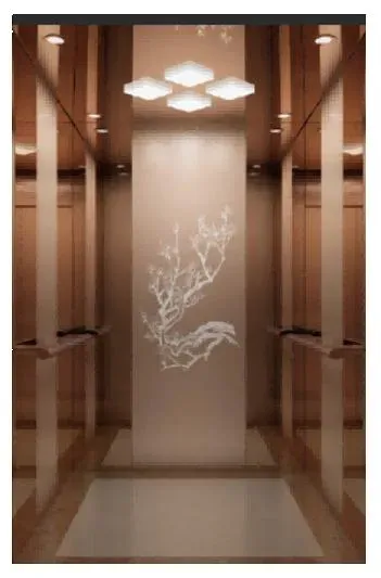 CE Certified Traction Residential Elevators for 2 Stories