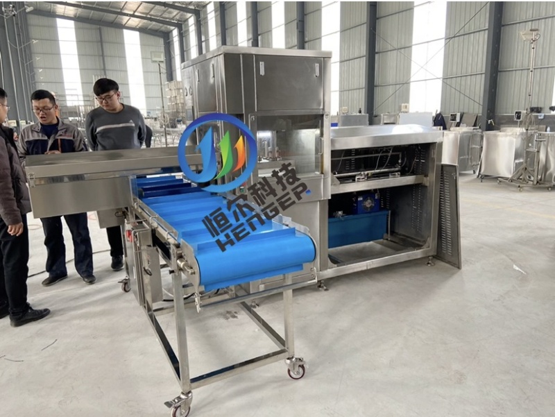 Frozen Meat Press Machine
