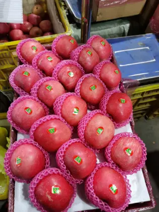 Fresh Full Red Color Paper Bag FUJI Apple