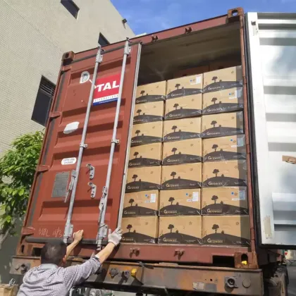 Hot Selling Growatt Hybrid Solar Inverters for Energy Storage
