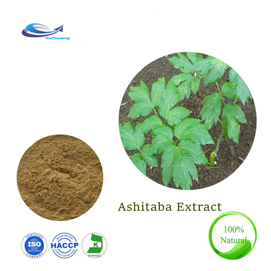 ashitaba extract benefits