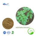 Best Price Ashitaba Extract Chalcone