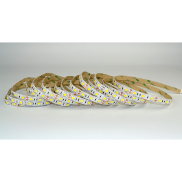 Constant Voltage 5050 flexible led strip