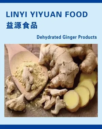 High quality dehydrated ginger products