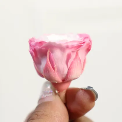 Wholesale Preserved Austin Roses for Wedding Decor