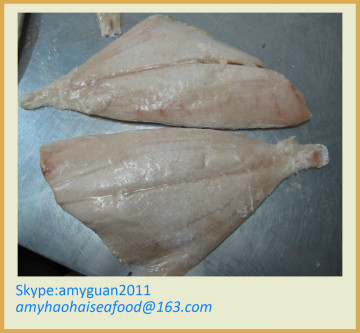 Frozen Fish brama brama fillet