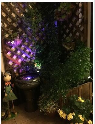 Solar Garden Light with Dusk Sensor