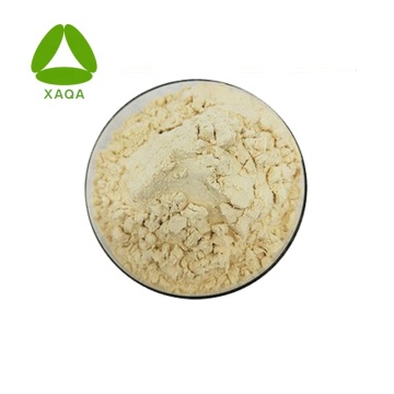 Erigeron Breviscapus Extract 95% Breviscapine Powder