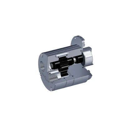 positive displacement magnetic drive gear pumps