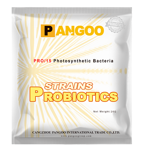 PRO / 15 batteri fotosintetici