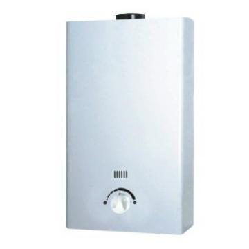 10L flue type tankless gas water heater-European model