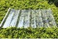 UV belagd på yttransparent FRP -takplåt PVC -plasttakplattor för växthus