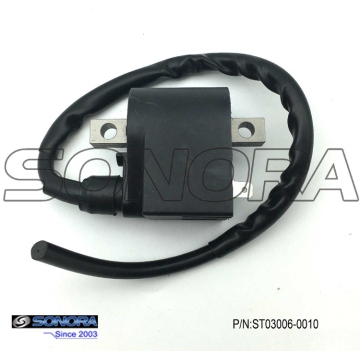 PUCH SACHS ZUNDAPP KREIDLER AX100 ignition Coil (P/N:ST03006-0010) Top Quality