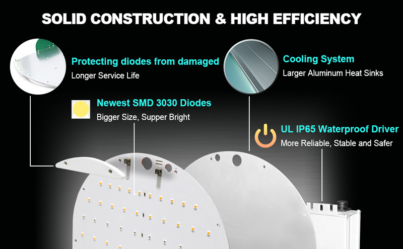 quantum grow light details