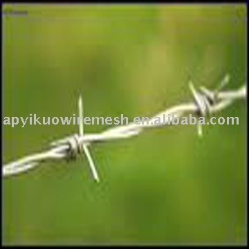 security wire