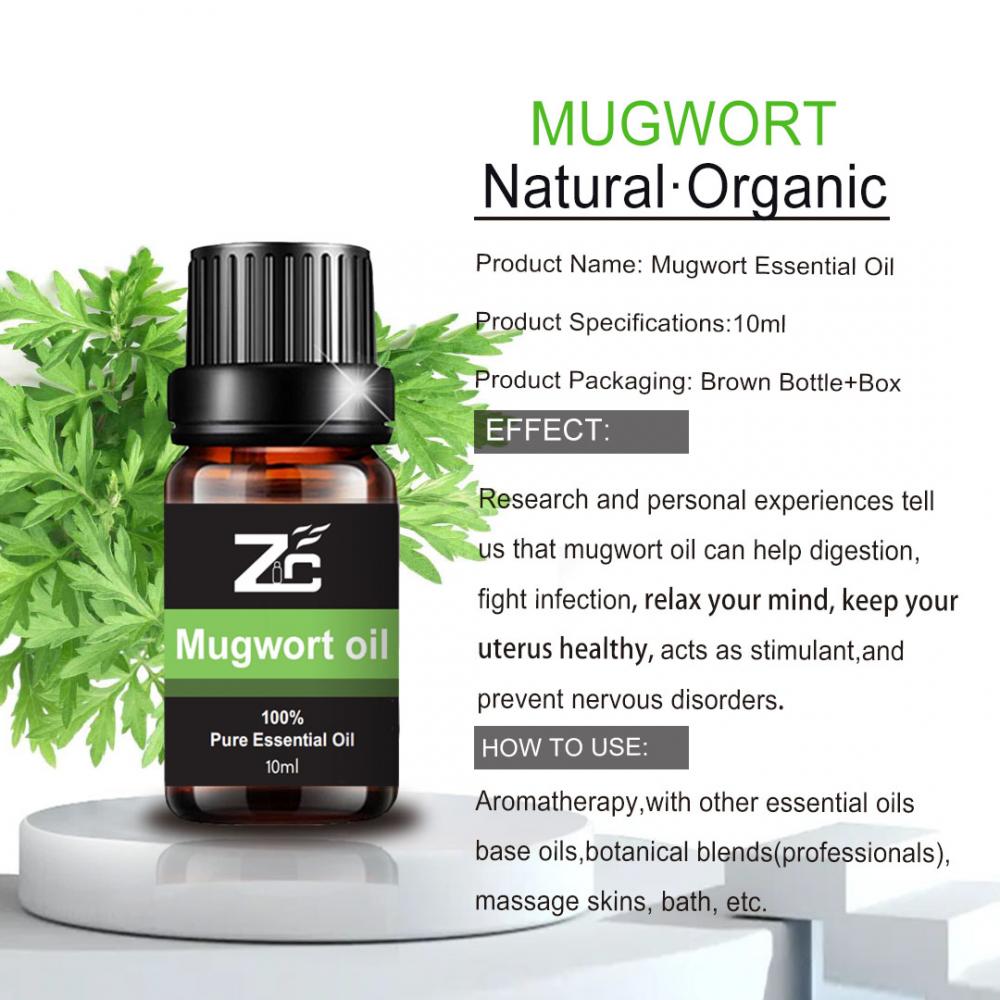 OEM Pure and Natural Mugwort Essential Oil For Body Care