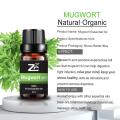 OEM Pure and Natural Mugwort Essential Oil For Body Care