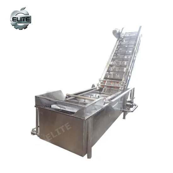 Berries Cleaning Machine: Fruit and Vegetable Cleaning Machine