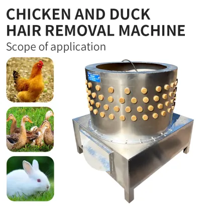 Efficient Hair Removal Equipment for Poultry: New Slaughtering Technology for Chickens and Ducks