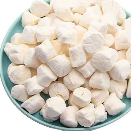 Bulk Cargo of Freeze-Dried Scallops: Premium Cat Snacks and Seafood for Kitten and Cat Food