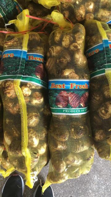 Selected Good Quality Fresh Taro