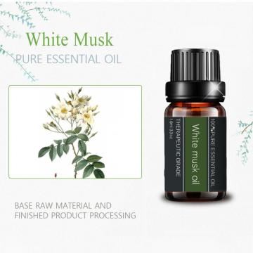 High Quality Multi-Function Natural White Musk Essential Oil