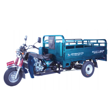 Adult Two-Seater Three-Wheel Cargo Tricycle for Sale