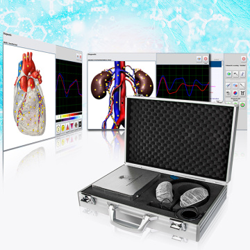 metatron hunter 4025 nls body scanning therapy machine