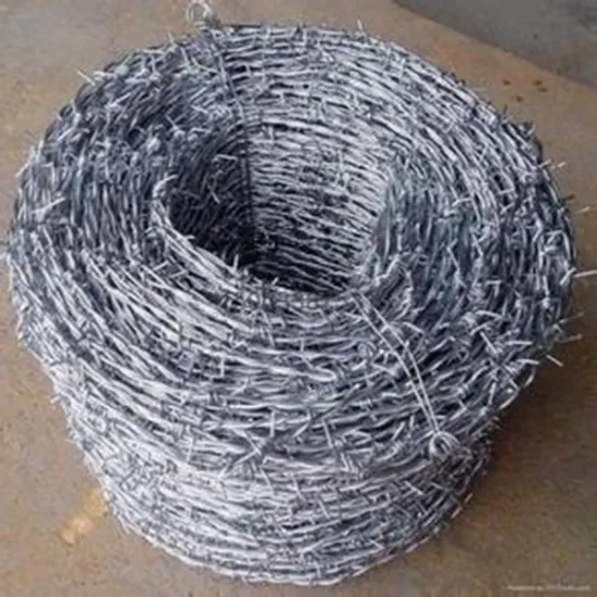 Galvanized Barbed Iron Wire in IOWA type