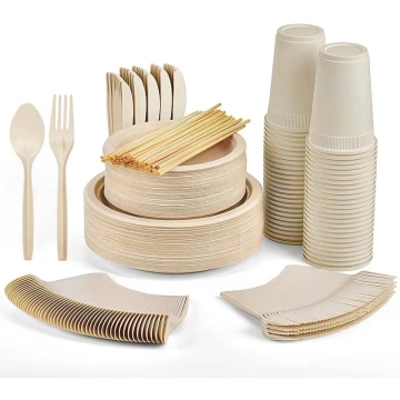 eco friendly disposable plates