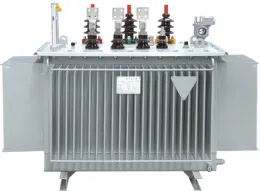 30kVA/50kVA/80kVA 10 KV Oil Immersed Transformer