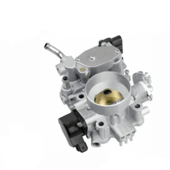 China Manufacturer Universal Mechanical Throttle Body for PROTON WIRA (ACN46-307)