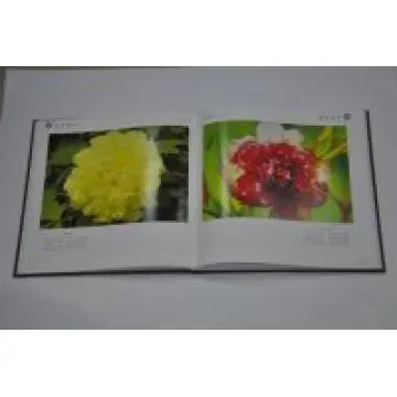 high quality photograph book printing