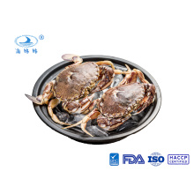 ປູຊາຍແຊ່ແຂງ