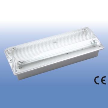 fluorescent  Emergency Light could be hanging on the wall