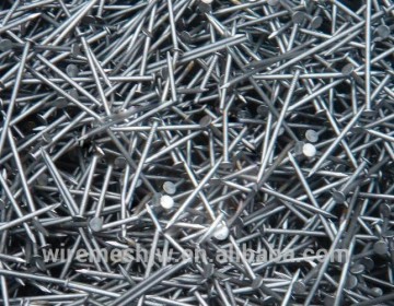 Galvanized Concrete Nails/Nails/Grooved Shank Nails