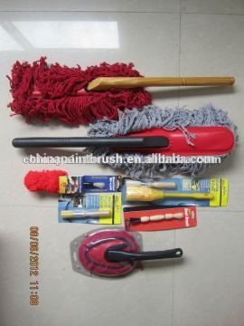 Car brush with bristle