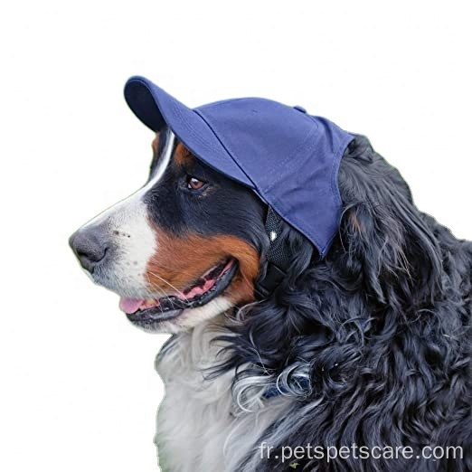 Chapeau de baseball pour animaux de compagnie Petits chapeaux de chien de grande taille