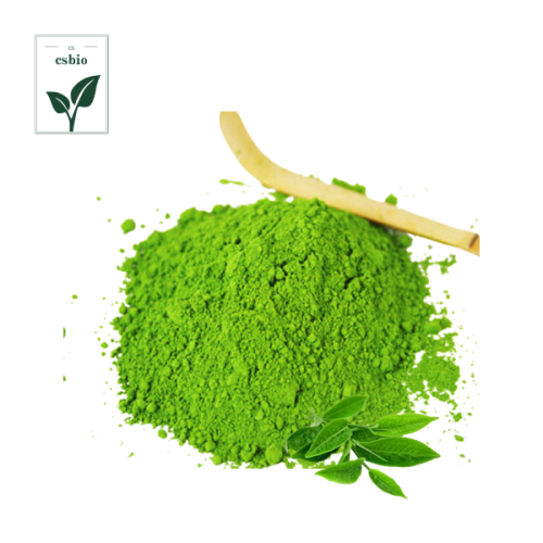 Wholesale Food Grade Matcha Powder