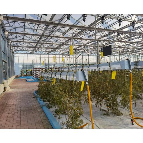 Polycarbonate Sheet & Glass Greenhouse