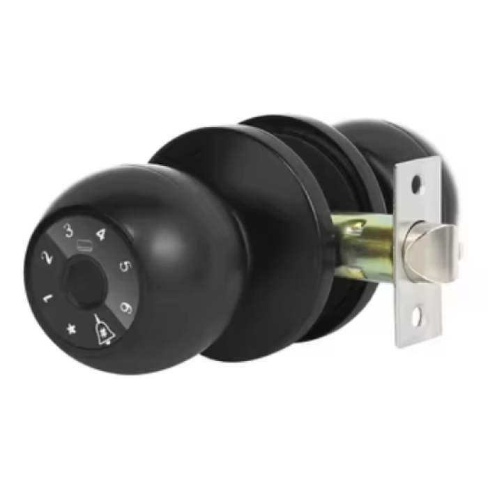 Smart Tuya Fingprint Password Password Runb