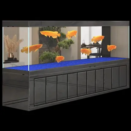 Customized Large Dragon Fish Acrylic Aquarium with Cabinet - China Supplier