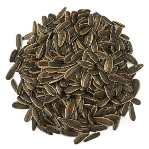 Online Seeds Of Sunflower Seeds For Sale