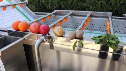 Multifunctional Bubble Vegetable and Fruit Cleaning Machine Industry